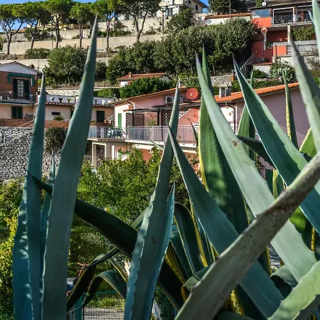 Appartamento Locazione Turistica Giulia-1 Capoliveri (Isola d'Elba)