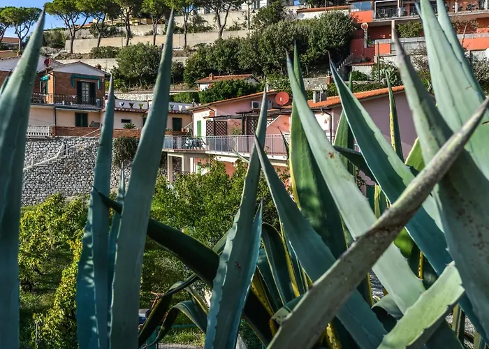 Apartment Giulia-1 By Interhome Capoliveri (Isola d'Elba)